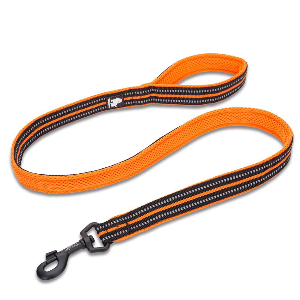 Truelove Reflective 3FT Dog Leash - Nylon Mesh Padded Leash for Outdoor Training and Safety