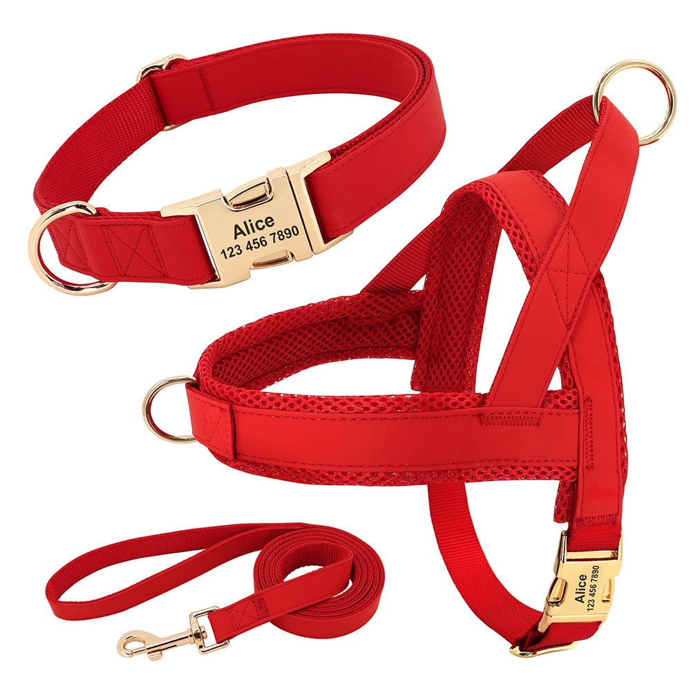 Custom Dog Collar, Harness, and Leash Set - Personalized with ID Tags for Small, Medium, and Large Dogs