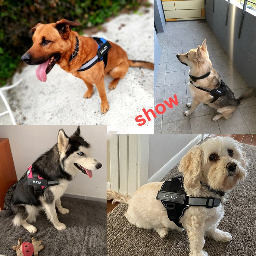 Personalized No-Pull Dog Harness with Velcro ID Customization and Reflective Design
