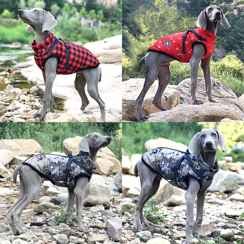 Warm Winter Dog Coat with Harness - Waterproof Fleece Clothes for Small and Large Dogs